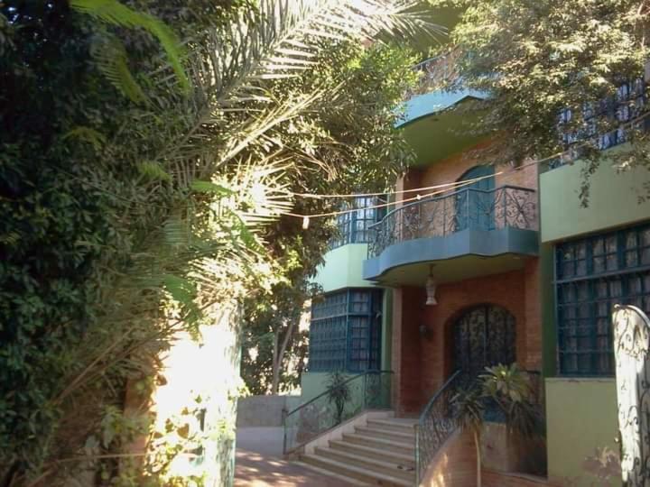 Richard Pyramids Inn Hotel Kafret el-Gabal Exteriér fotografie